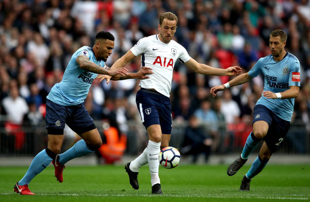 O效果与数 O效果与数