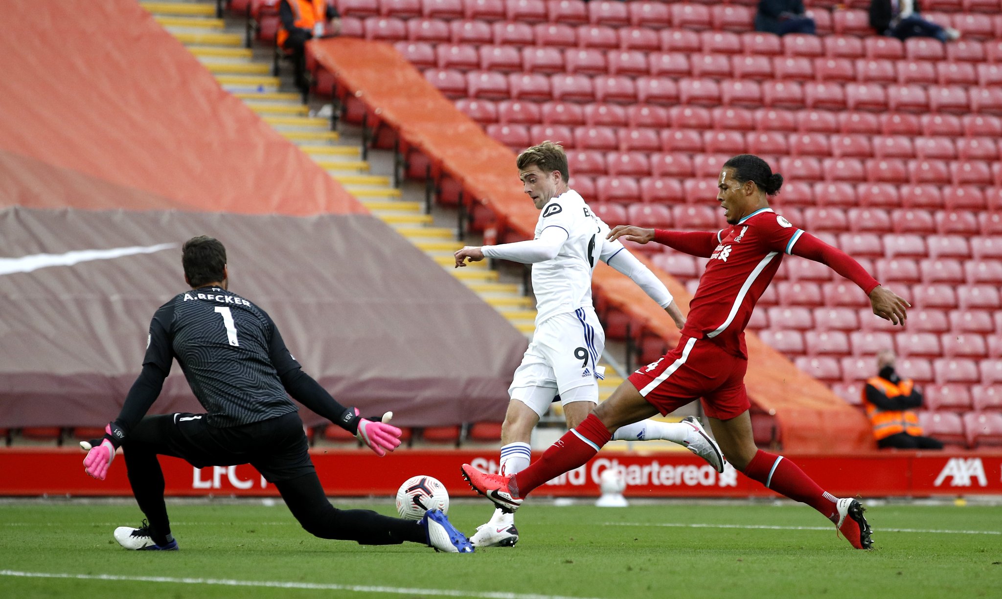 引动了无数 引动了无数